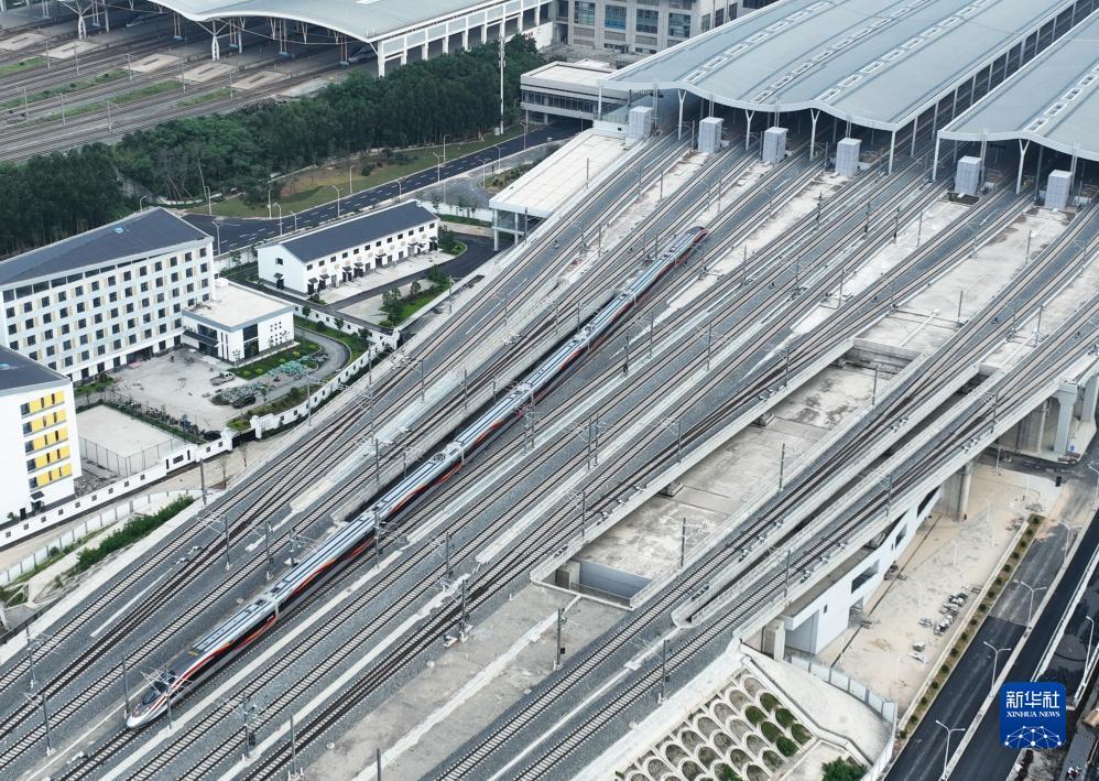 百家什乐鲨鱼分析软件